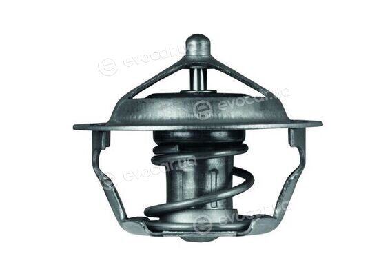 Mahle TX 101 83D