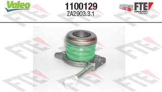 FTE 1100129