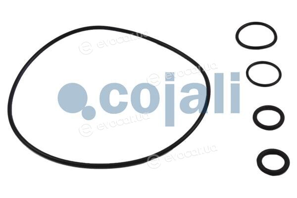 Cojali 6034020