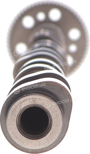 Motive T2137