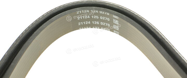 Dayco 6PK1558