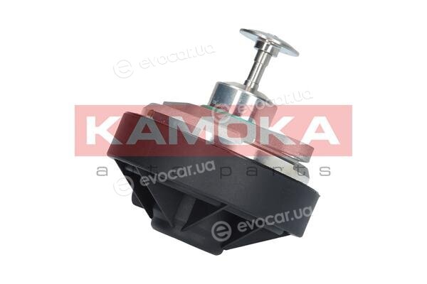 Kamoka 19011