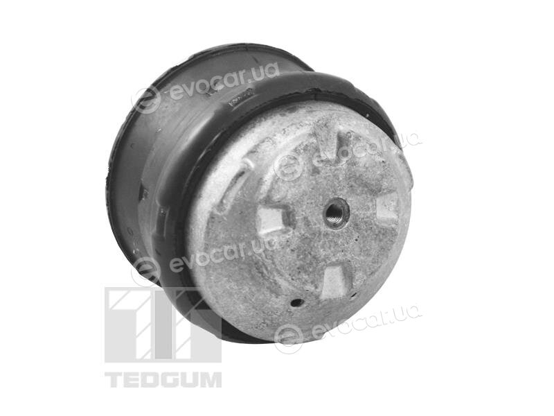 Tedgum TED81021