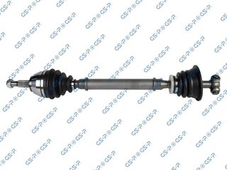 GSP 250197