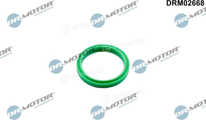 Dr. Motor DRM02668