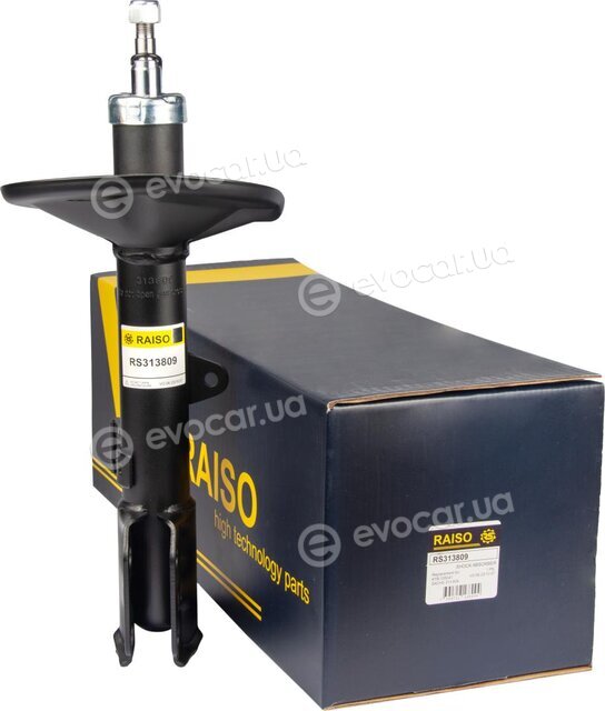 Raiso RS313809