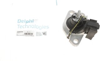 Delphi TEM008