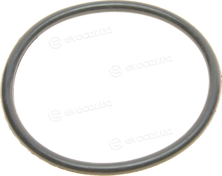 Solgy 113019