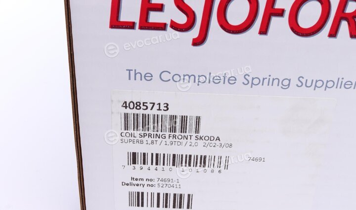 Lesjofors 4085713