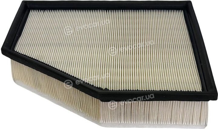Champion CAF101225P