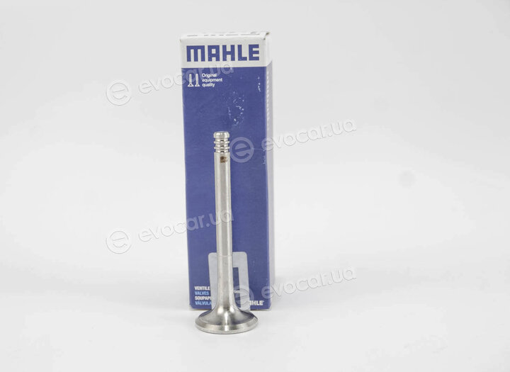 Mahle 029 VA 30499 100