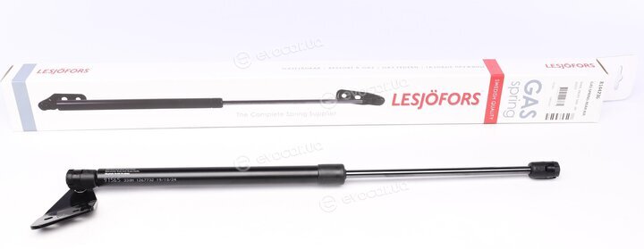 Lesjofors 8144236