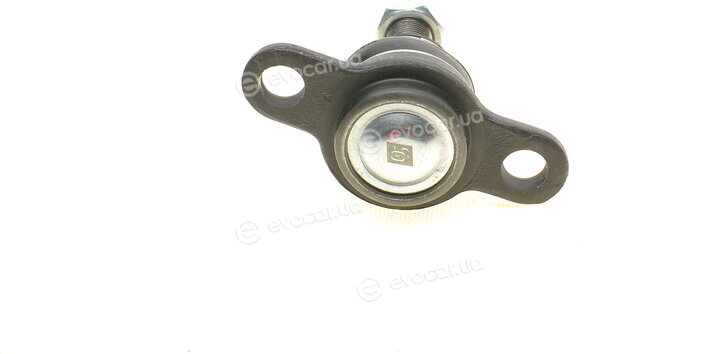 Solgy 203055