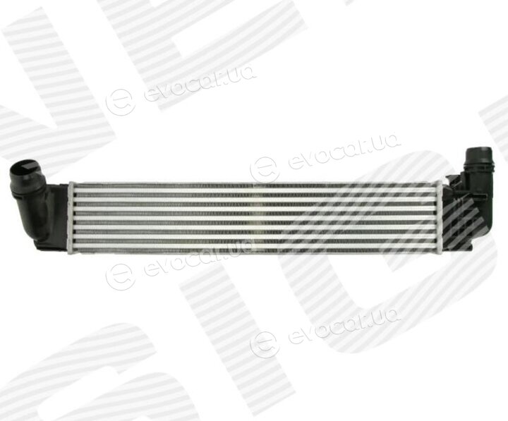 Signeda RI96533