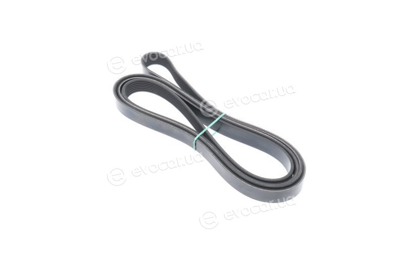 Dayco 7PK2842