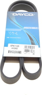 Dayco 6PK1125