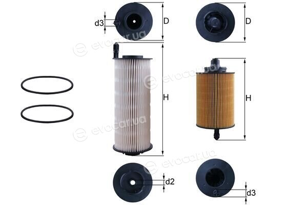 Mahle KX 646KIT