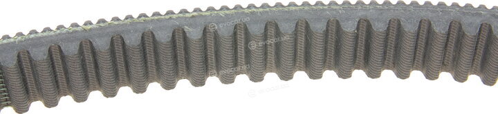Dayco HPX2233