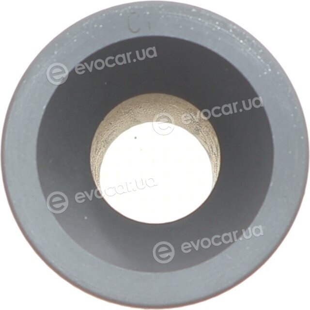 Mahle 001 PI 00177 002