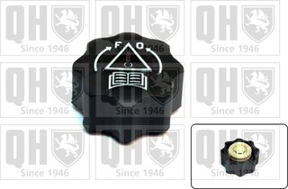 Quinton Hazell FC535