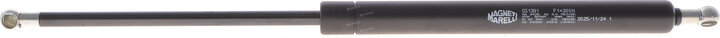 Magneti Marelli 430719138100