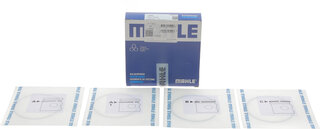 Mahle 012 10 N0
