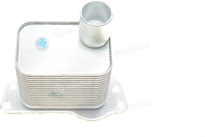 Van Wezel 37013704
