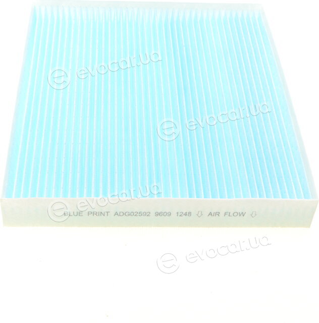 Blue Print ADG02592