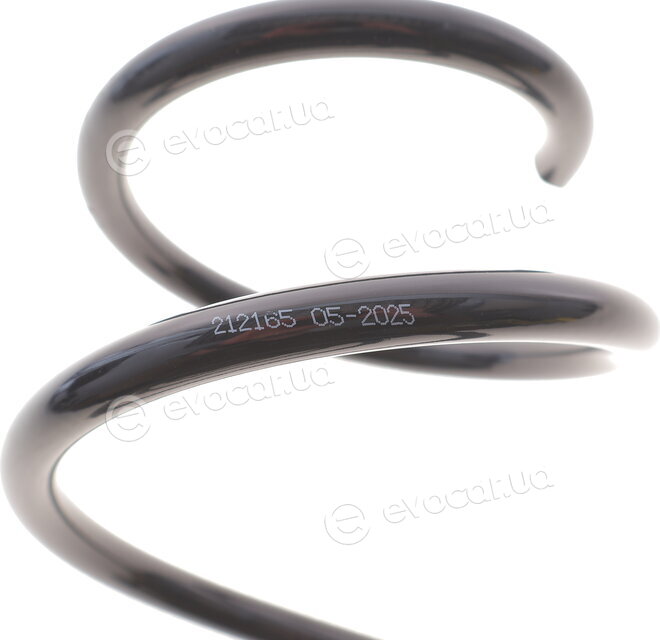 Solgy 212165