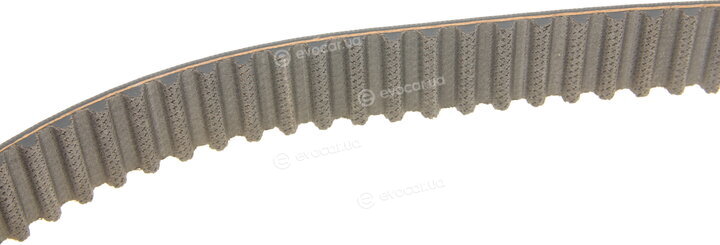 Gates K025569XS