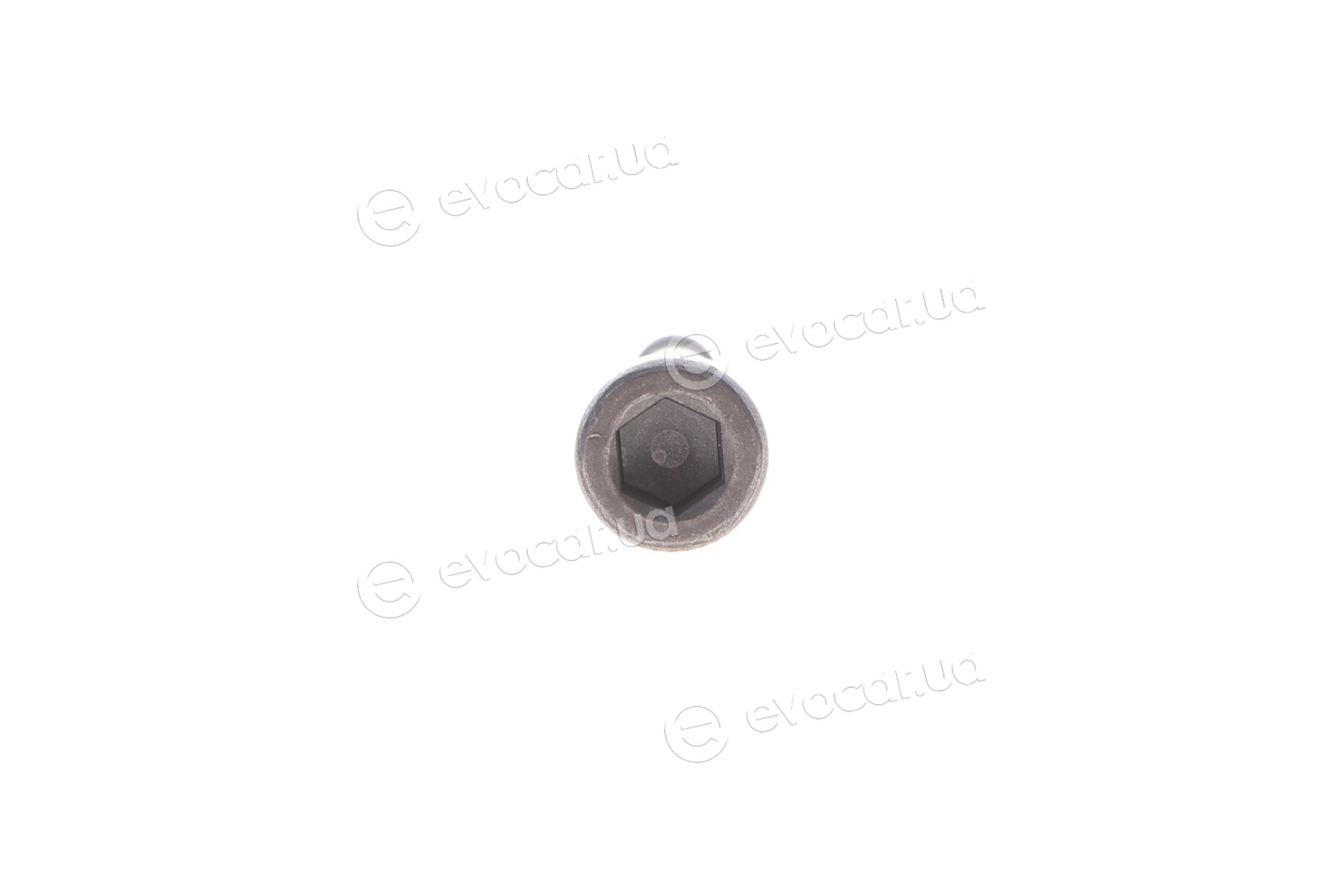 Blue Print ADBP780066
