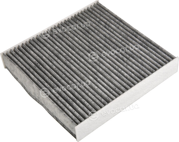 Blue Print ADBP250030