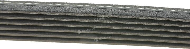 Dayco 6PK1215