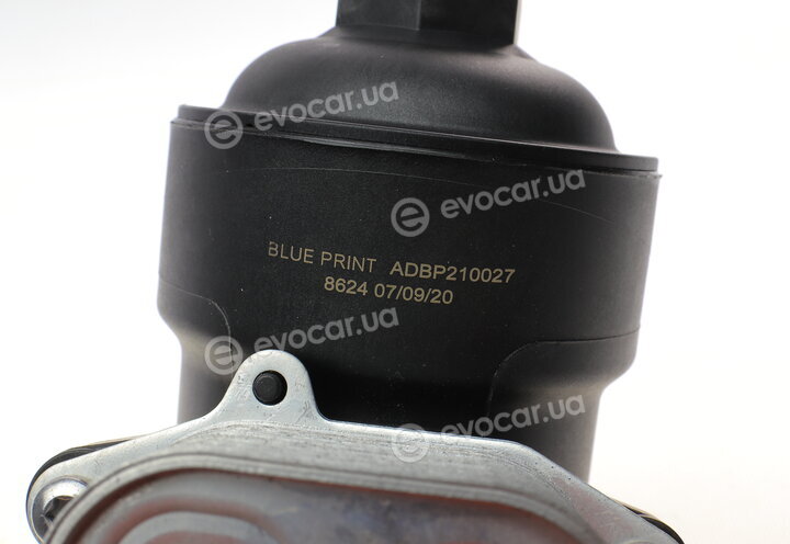 Blue Print ADBP210027