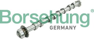 Borsehung B13031