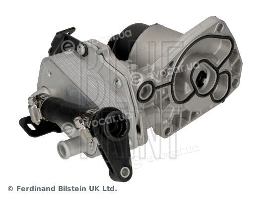 Blue Print ADBP210224