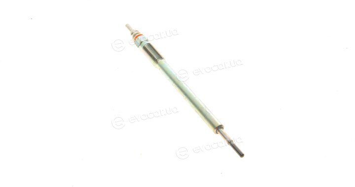 Bosch F 01G 004 031