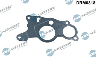 Dr. Motor DRM0818