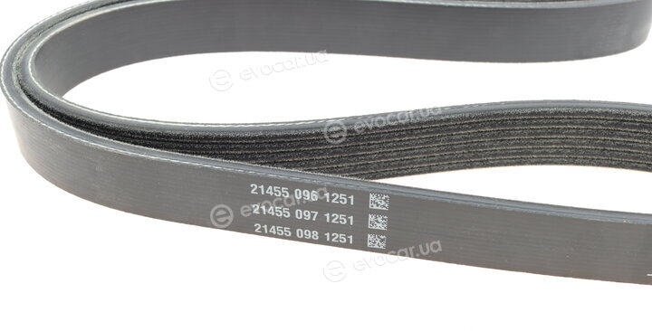 Dayco 6PK1033EE