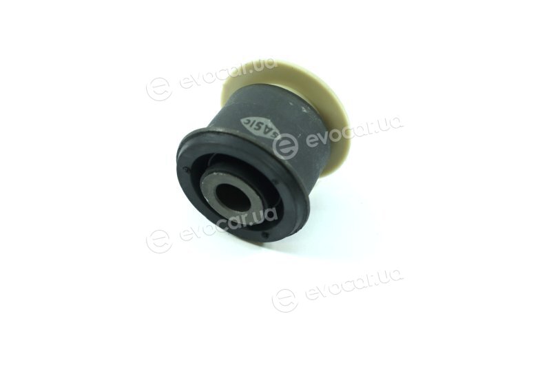 Sasic 2250019