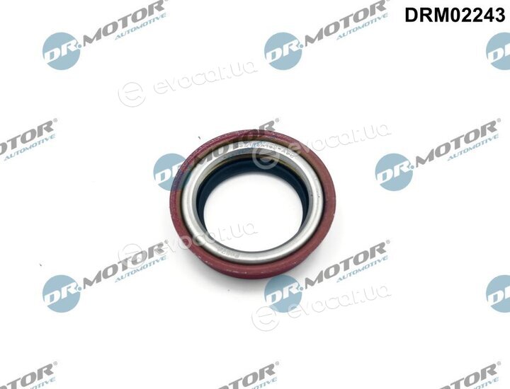 Dr. Motor DRM02243