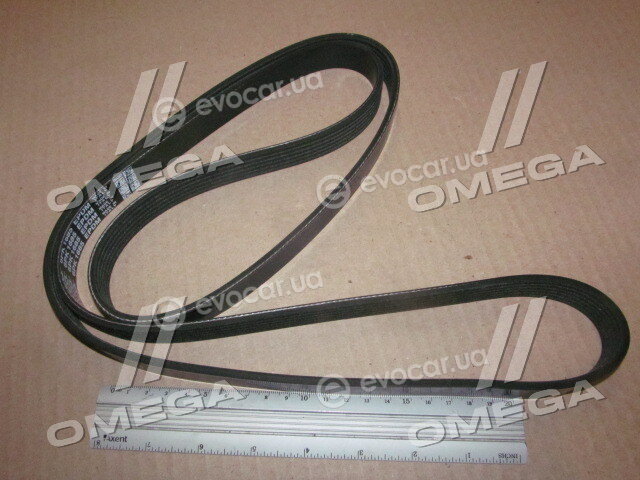 Dayco 6PK1685