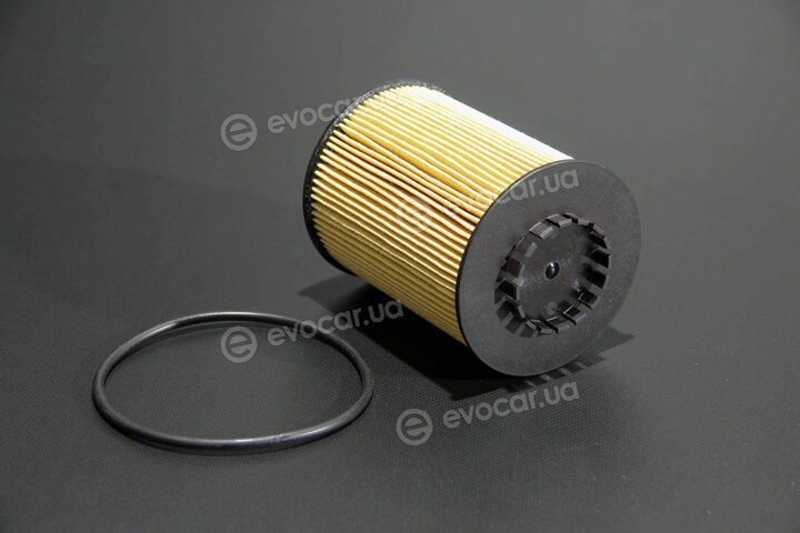 Mahle OX 983D