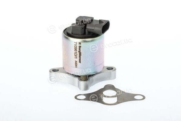 Wahler / BorgWarner 710961D