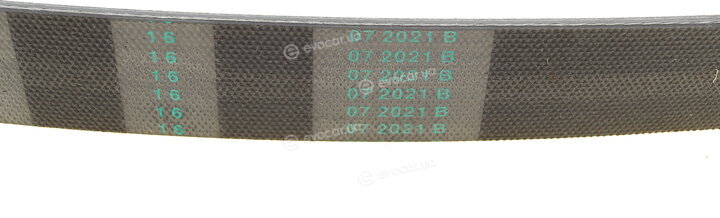 Continental 6PK1075