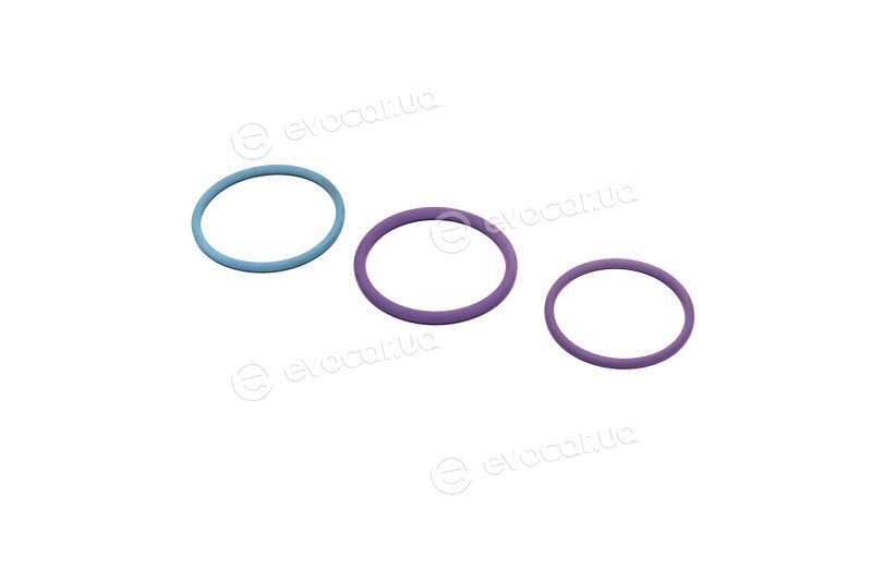 Bosch F 00V X99 998