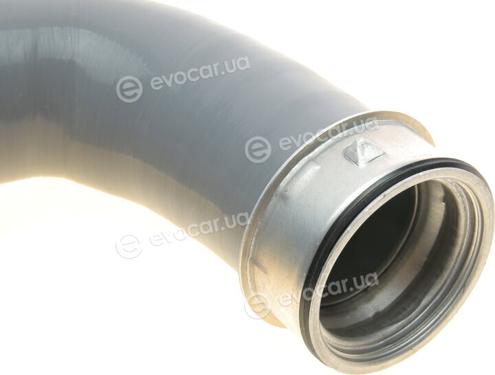 Bogap C1711161