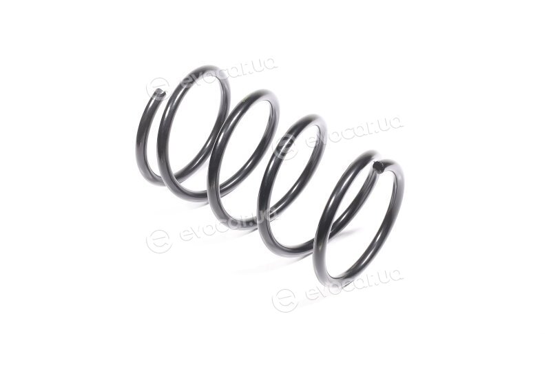 Lesjofors 4059249