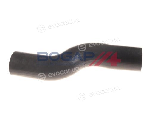 Bogap A1711185