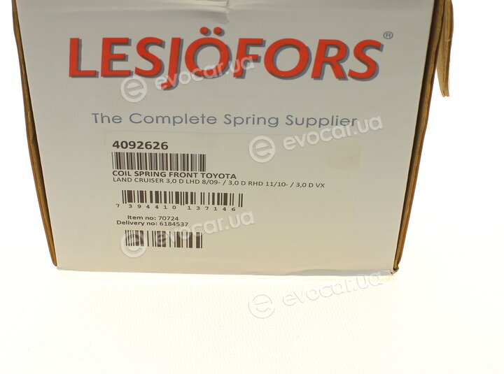 Lesjofors 4092626